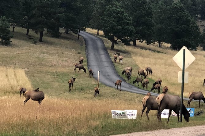 Private Tour of Red Rocks, Echo Lake, Mount Evans and Idaho Springs. - Destination Highlights