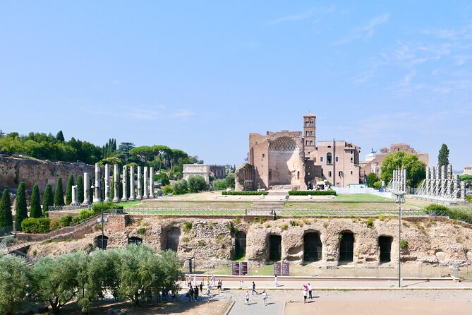 Private Tour of Roman Forum, Palatine Hill and Circus Maximus - Gardens of the Vestal Virgins