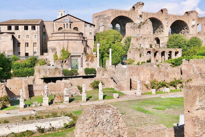Private Tour of Roman Forum, Palatine Hill and Circus Maximus - Transformation From Village to Empire