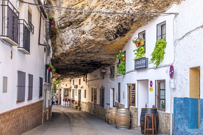 Private Tour of Ronda and Setenil De Las Bodegas - Included and Optional Features