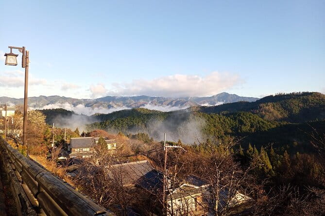 Private Tour of Rural Japan Mountains, Onsen and Craft Beer - Relaxing in the Onsen