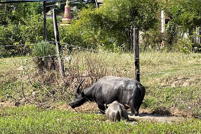 Private Tour of Rural Khmer Every Day Life - Taking in Everyday Life