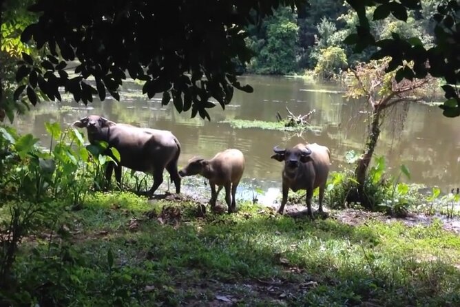 Private Tour of Rural Khmer Every Day Life - Additional Tour Information