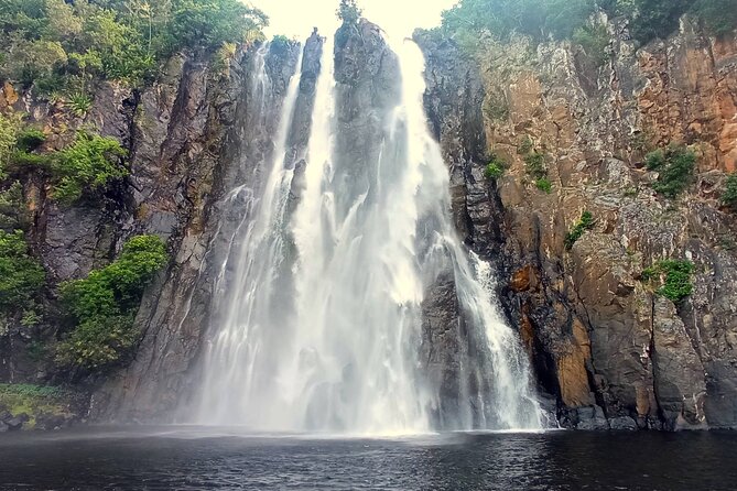 Private Tour of Salazie With a Driver Guide - Positive Customer Reviews