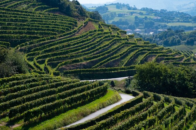 Private Tour of San Sebastian and Getaria With Txakoli Tasting - Key Points