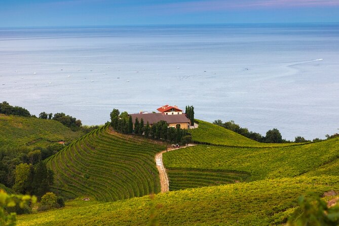 Private Tour of San Sebastian and Getaria With Txakoli Tasting - Tour Highlights