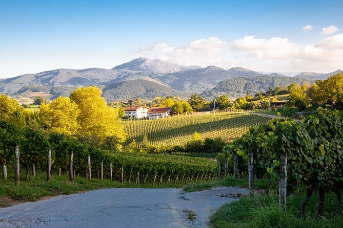Private Tour of San Sebastian and Getaria With Txakoli Tasting - Frequently Asked Questions