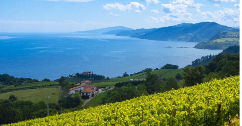 Private Tour of San Sebastian and Getaria With Txakoli Tasting - Discovering Getarias Historic Charm