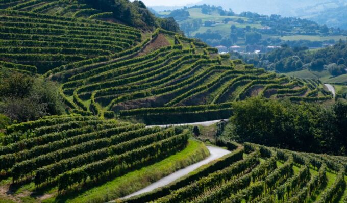Private Tour of San Sebastian and Getaria With Txakoli Tasting - Tasting the Unique Txakoli Flavors