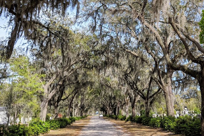 Private Tour of Savannahs Historic/Victorian Districts & Bonaventure Cemetery - Exploring Victorian Districts
