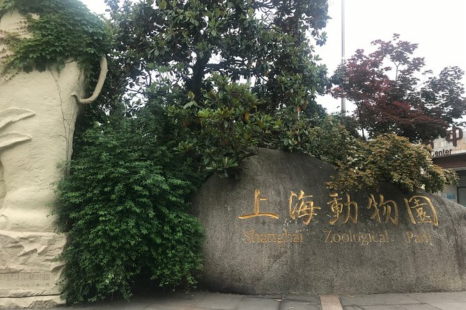 Private Tour of Shanghai Zoo, Xintiandi and Qibao Old Street With Local Delicacy - Accessibility