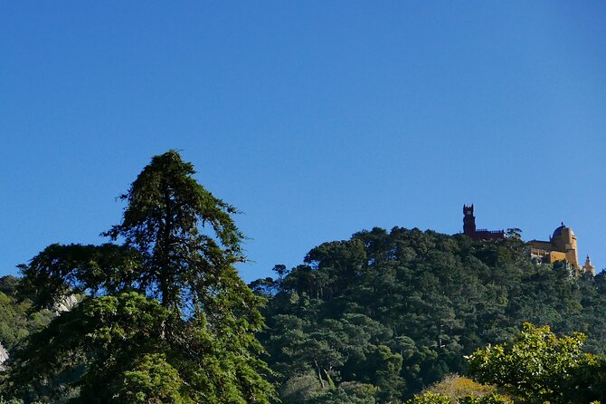 Private Tour of Sintra and Surroundings - Accessibility