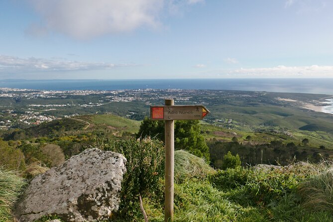 Private Tour of Sintra and Surroundings - Explore Sintras Landmarks