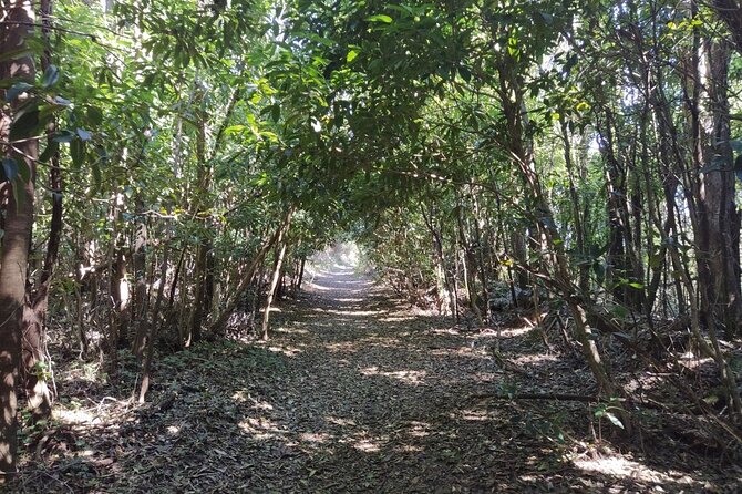 Private Tour of Sintra With a Hike in Nature - Tour Duration and Schedules