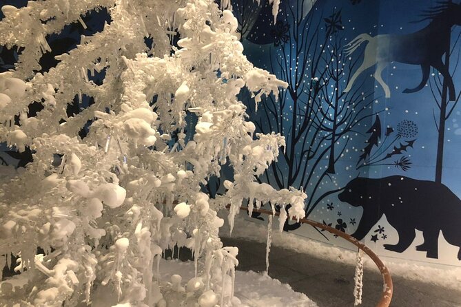 Private Tour of Swarovski Crystal World From Innsbruck - Accessibility Features