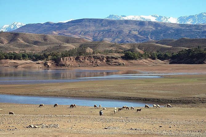 Private Tour of the 3 Valleys From Marrakech - Experience a Homestay Visit