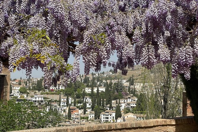 Private Tour of the Alhambra in Granada (Ticket Included) - Confirmation and Identification