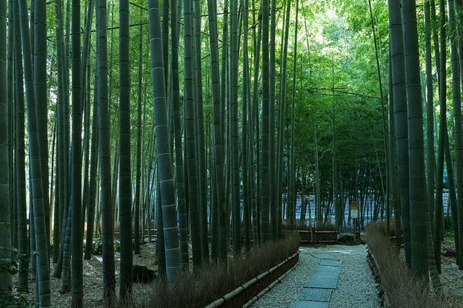Private Tour of the Ancient Capital Kamakura From Tokyo - Meeting and Pickup