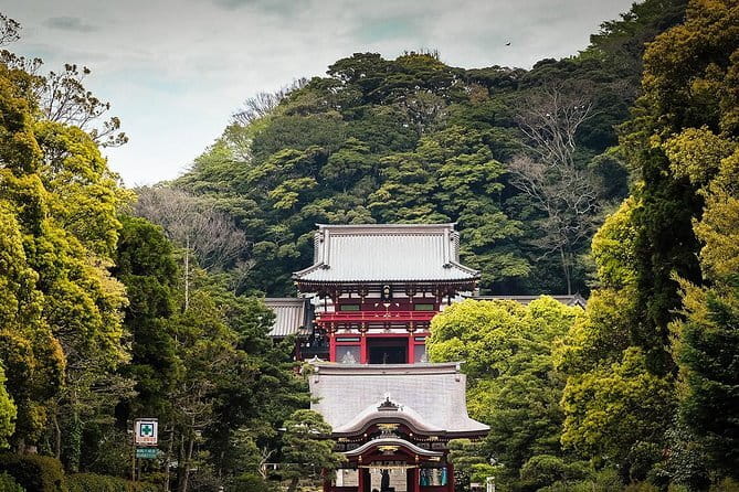 Private Tour of the Ancient Capital Kamakura From Tokyo - Pricing and Cancellation Policy