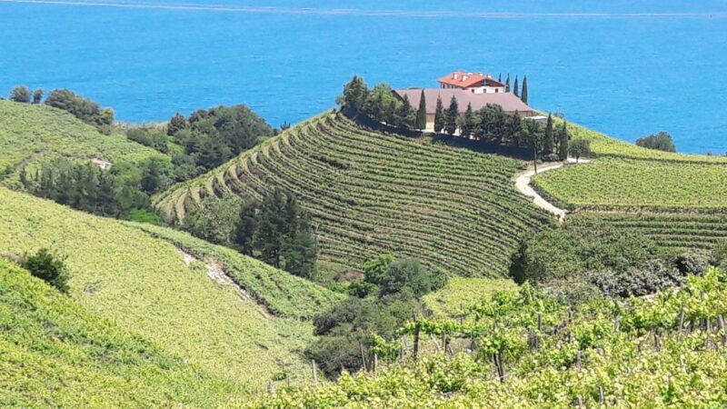 Private Tour of the Basque Coast and Countryside - Frequently Asked Questions