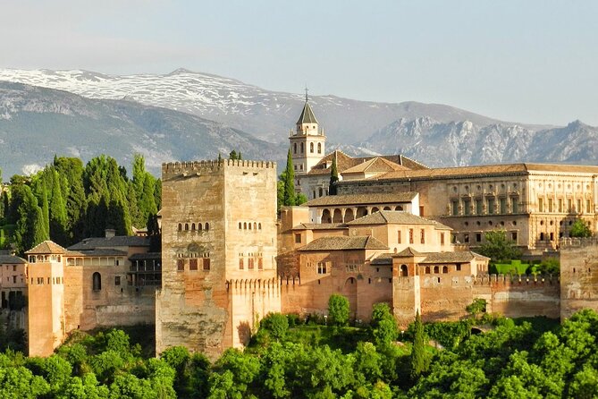 Private Tour of the Best of Granada - Sightseeing, Food & Culture With a Local - Contact for Inquiries