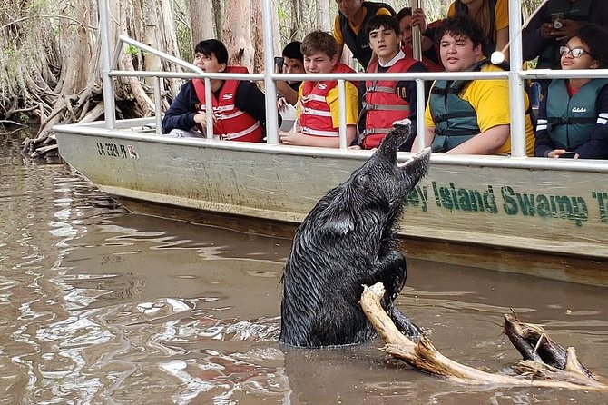 Private Tour of the Honey Island Swamp - Accessibility and Policies