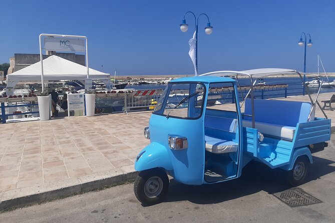 Private Tour of the Marinas - Discover Local Attractions