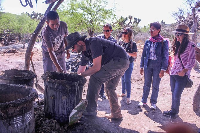 Private Tour of the Mezcal Route With Ancestral Drinks - Discovering Ancestral Drinks