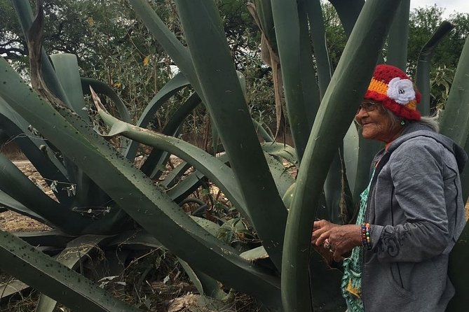 Private Tour of the Mezcal Route With Ancestral Drinks - Private Transport and Certified Guide
