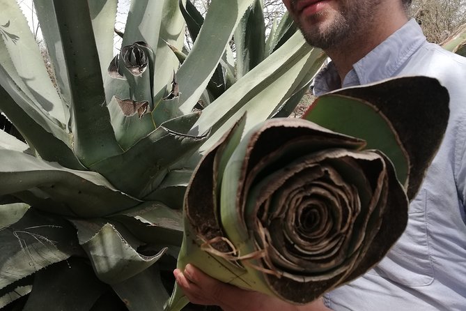 Private Tour of the Mezcal Route With Ancestral Drinks - Inclusions and Pickup Details