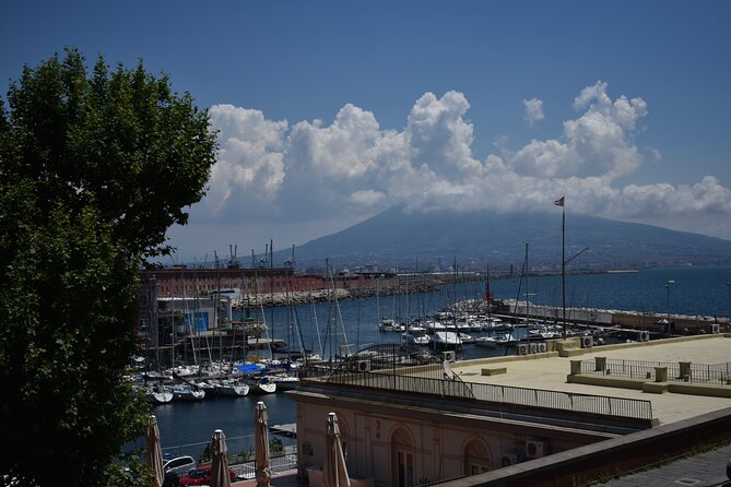 Private Tour of the Naples Royal Palace and Saint Martin Certosa - Highlights of the Royal Palace
