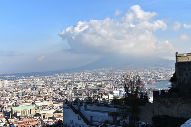 Private Tour of the Naples Royal Palace and Saint Martin Certosa - Booking and Cancellation Information