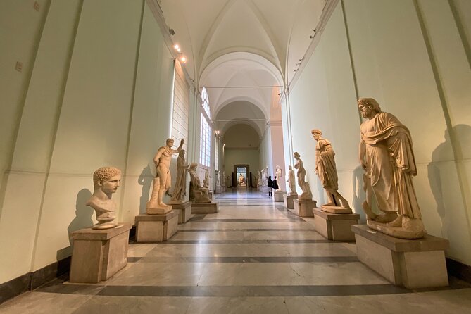 Private Tour of the National Archaeological Museum of Naples - Archaeological Treasures