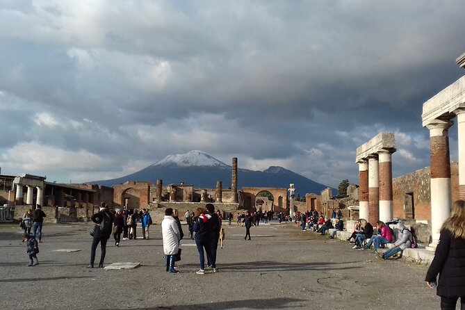 Private Tour of the Pompeii Excavations - Accessibility