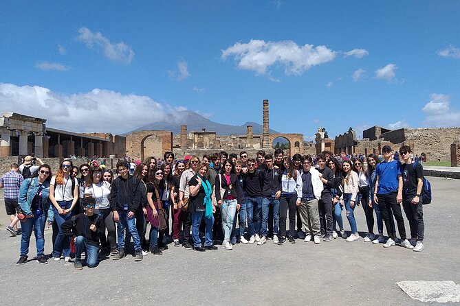 Private Tour of the Pompeii Excavations - Traveler Suitability