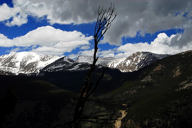 Private Tour of the Rocky Mountain National Park From Denver - Reviews