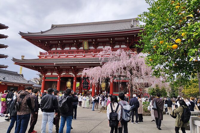 Private Tour of the Secret Corners of Tokyo - Booking Information