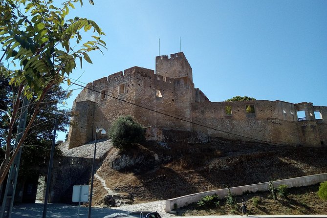Private Tour of the Templars From 1 to 8 People - Tour Overview