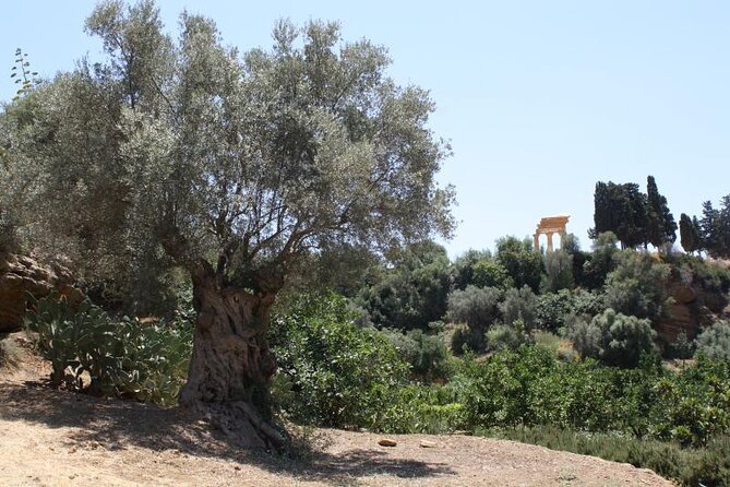 Private Tour of the Valley of the Temples & Kolymbethra in Sicily - Tour Inclusions and Pricing