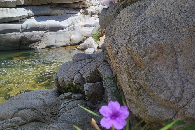 Private Tour of the White Canyon Ancestral Route in Utuado - Participant Feedback