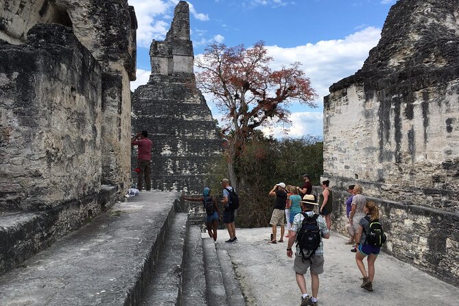 Private Tour of Tikal From Belize Western Border - Inclusions and Logistics