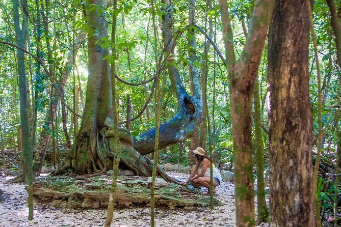 Private Tour of Tulum Archaeological Site & Sian Kaan Muyil - Inclusions and Pricing
