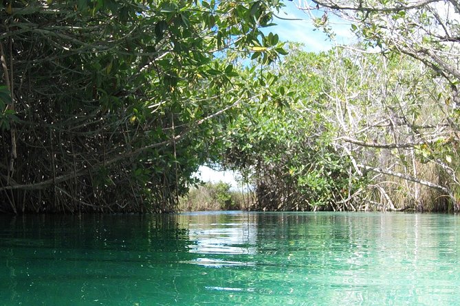 Private Tour of Tulum Archaeological Site & Sian Kaan Muyil - Pickup Information