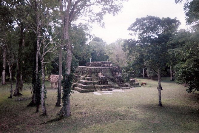 Private Tour of Uaxactún From Flores - Key Points