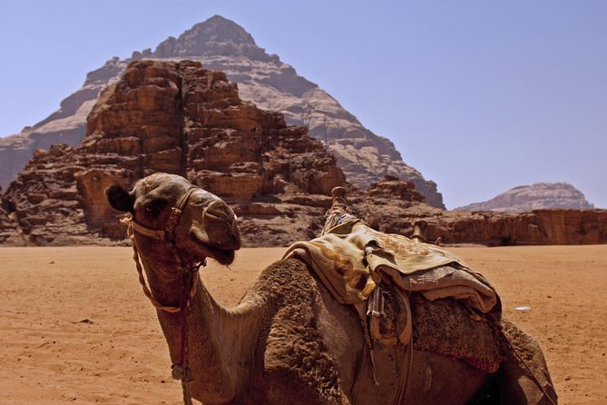 Private Tour of Wadi Rum Star Wars From Aqaba - Optional Camel Ride Adventure