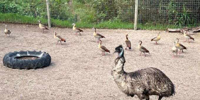 Private Tour of World of Birds, Kirstenbosch, and Constantia - Cultural Significance and Highlights