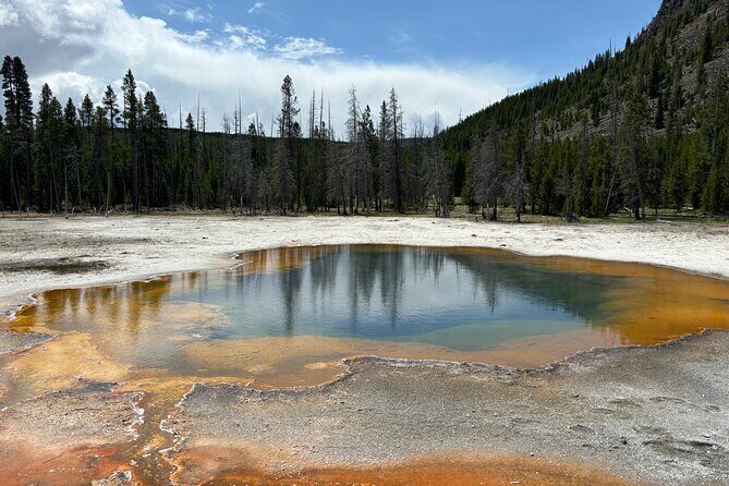 Private Tour of Yellowstones Natural Wonders from Jackson Hole - Key Points