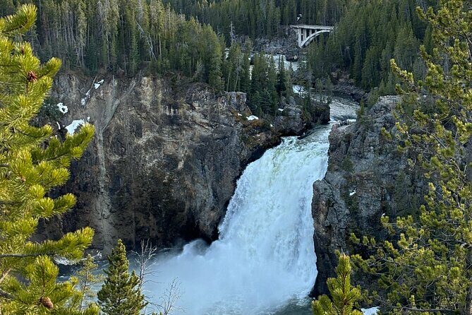 Private Tour of Yellowstones Natural Wonders from Jackson Hole - Authentic Feedback and Perspectives