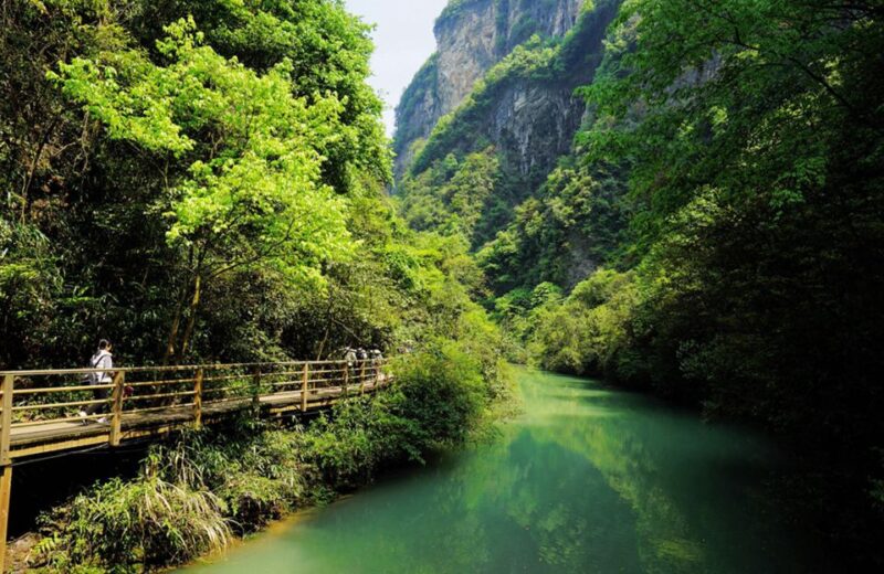 Private Tour of Zhangjiajie Grand Canyon With Glass Bridge - Pricing and Inclusions