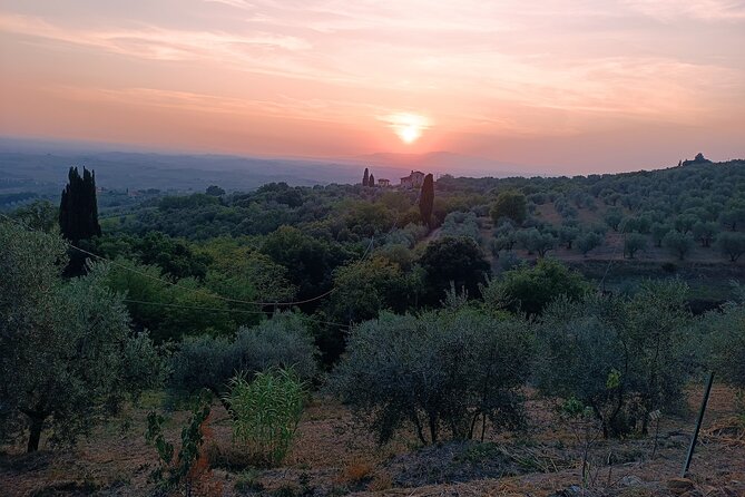 PRIVATE Tour: Oil Production, Leonardos House, Tasting - Meeting Point